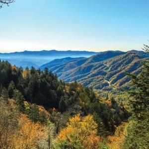 Meet your Posher, Deb